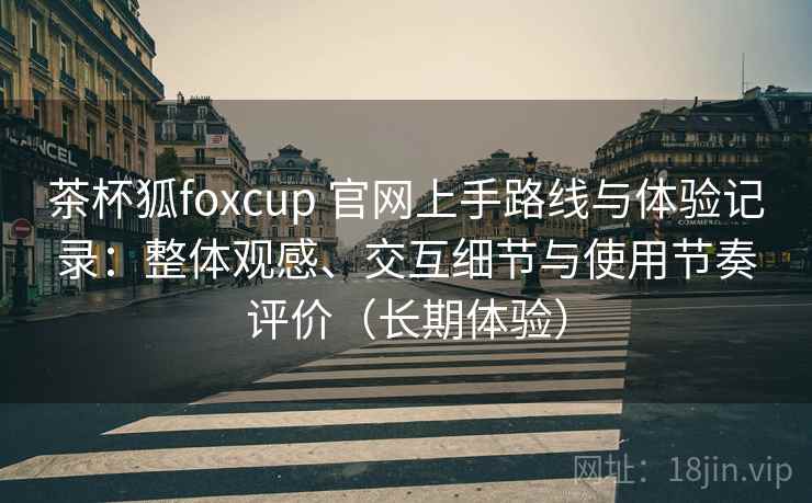 茶杯狐foxcup 官网上手路线与体验记录：整体观感、交互细节与使用节奏评价（长期体验）