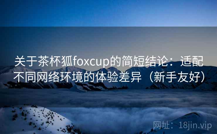 关于茶杯狐foxcup的简短结论：适配不同网络环境的体验差异（新手友好）