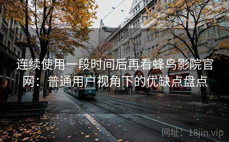 连续使用一段时间后再看蜂鸟影院官网：普通用户视角下的优缺点盘点