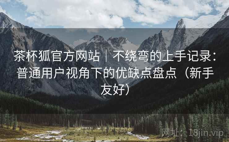 茶杯狐官方网站｜不绕弯的上手记录：普通用户视角下的优缺点盘点（新手友好）
